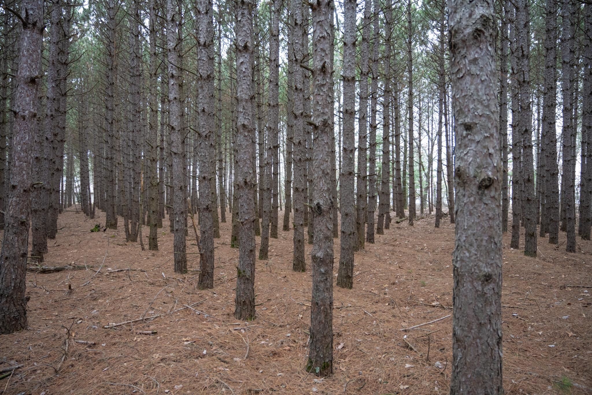 685 17th Arkdale, WI 54613 - Photo 13 of 17