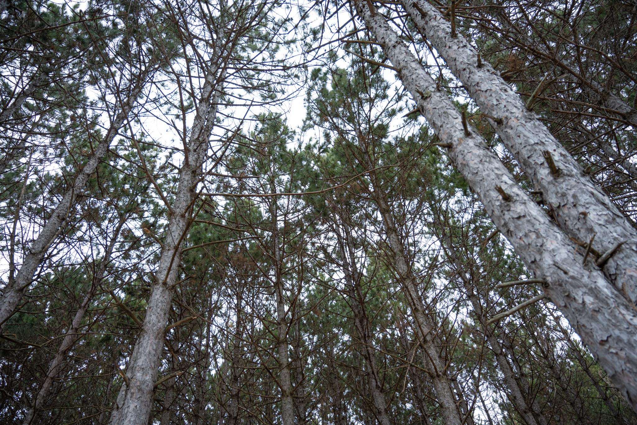 685 17th Arkdale, WI 54613 - Photo 2 of 17