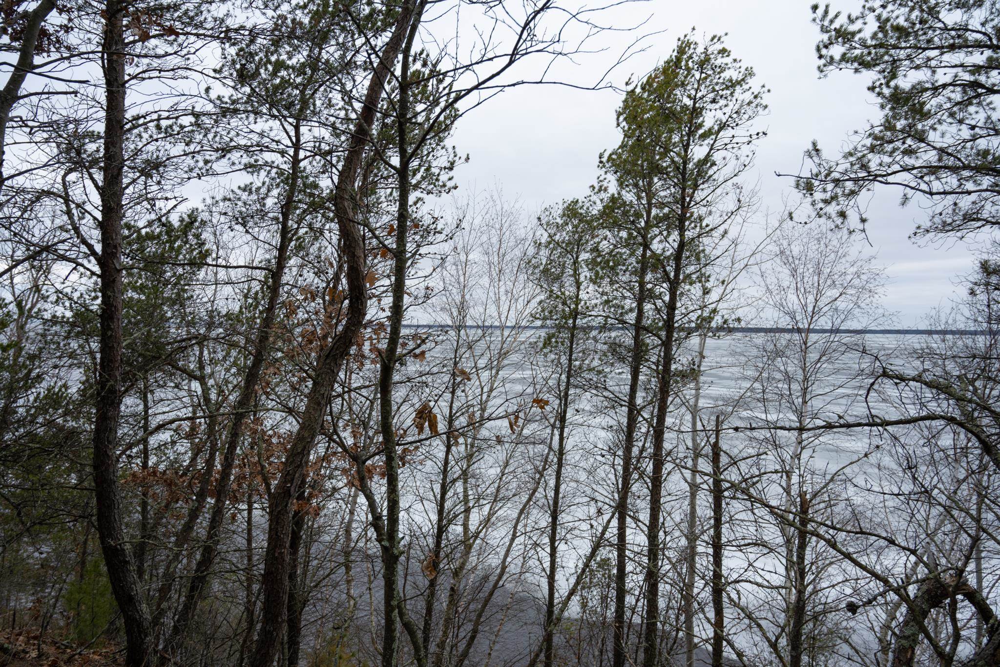 685 17th Arkdale, WI 54613 - Photo 4 of 17