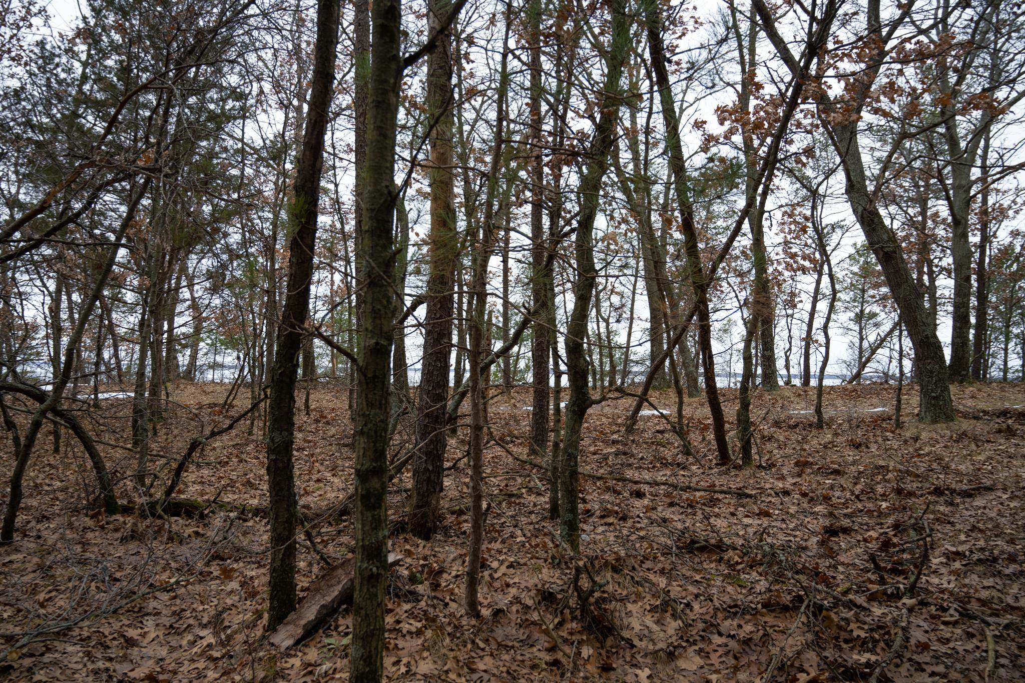 685 17th Arkdale, WI 54613 - Photo 7 of 17