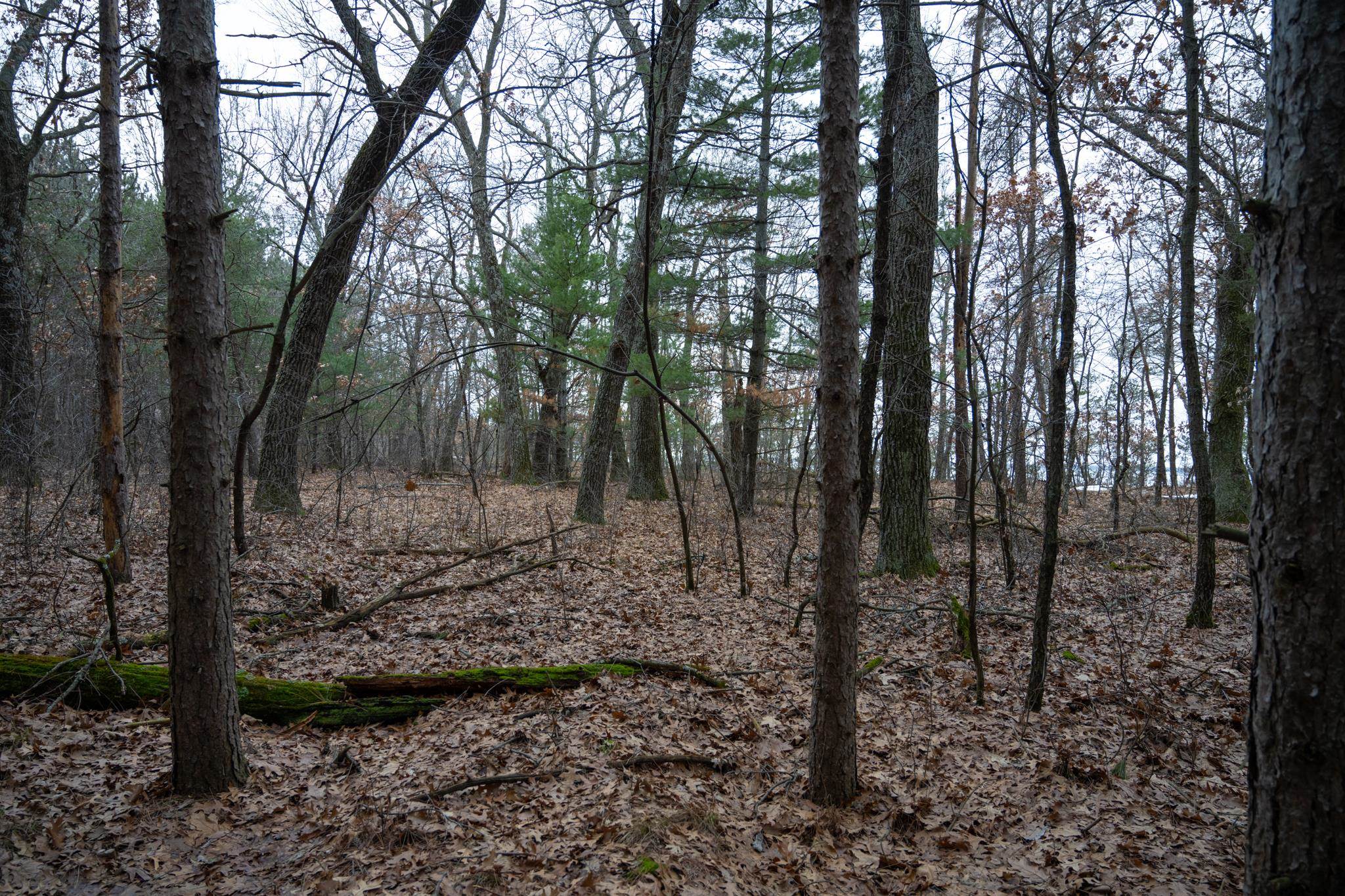 685 17th Arkdale, WI 54613 - Photo 9 of 17