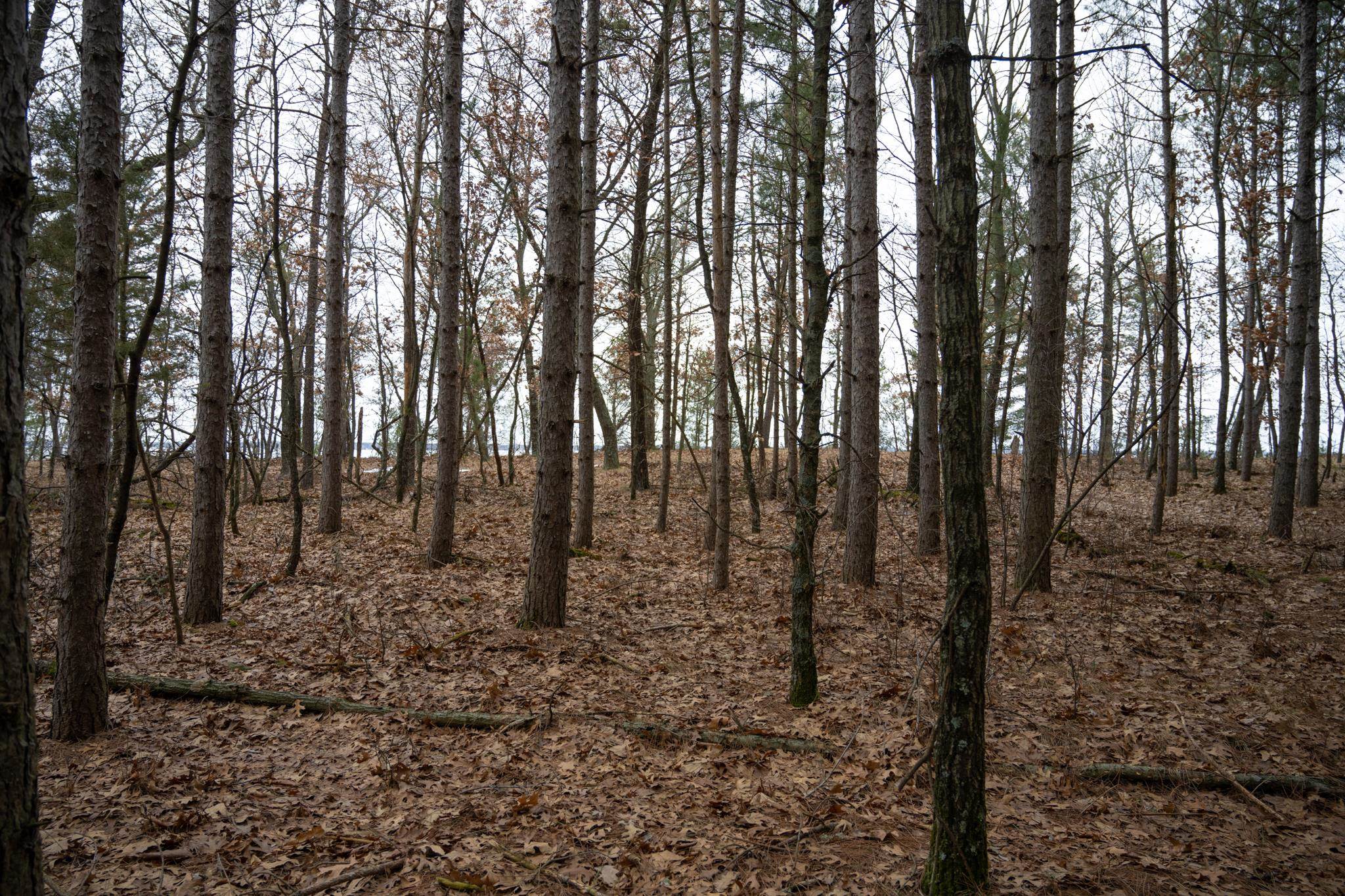 685 17th Arkdale, WI 54613 - Photo 10 of 17