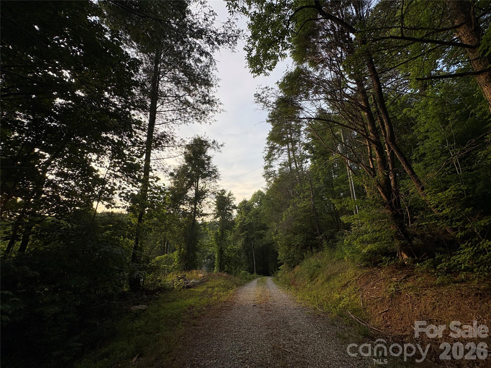 4733 Bat Cave Road Old Fort, NC 28762 - Photo 11 of 36