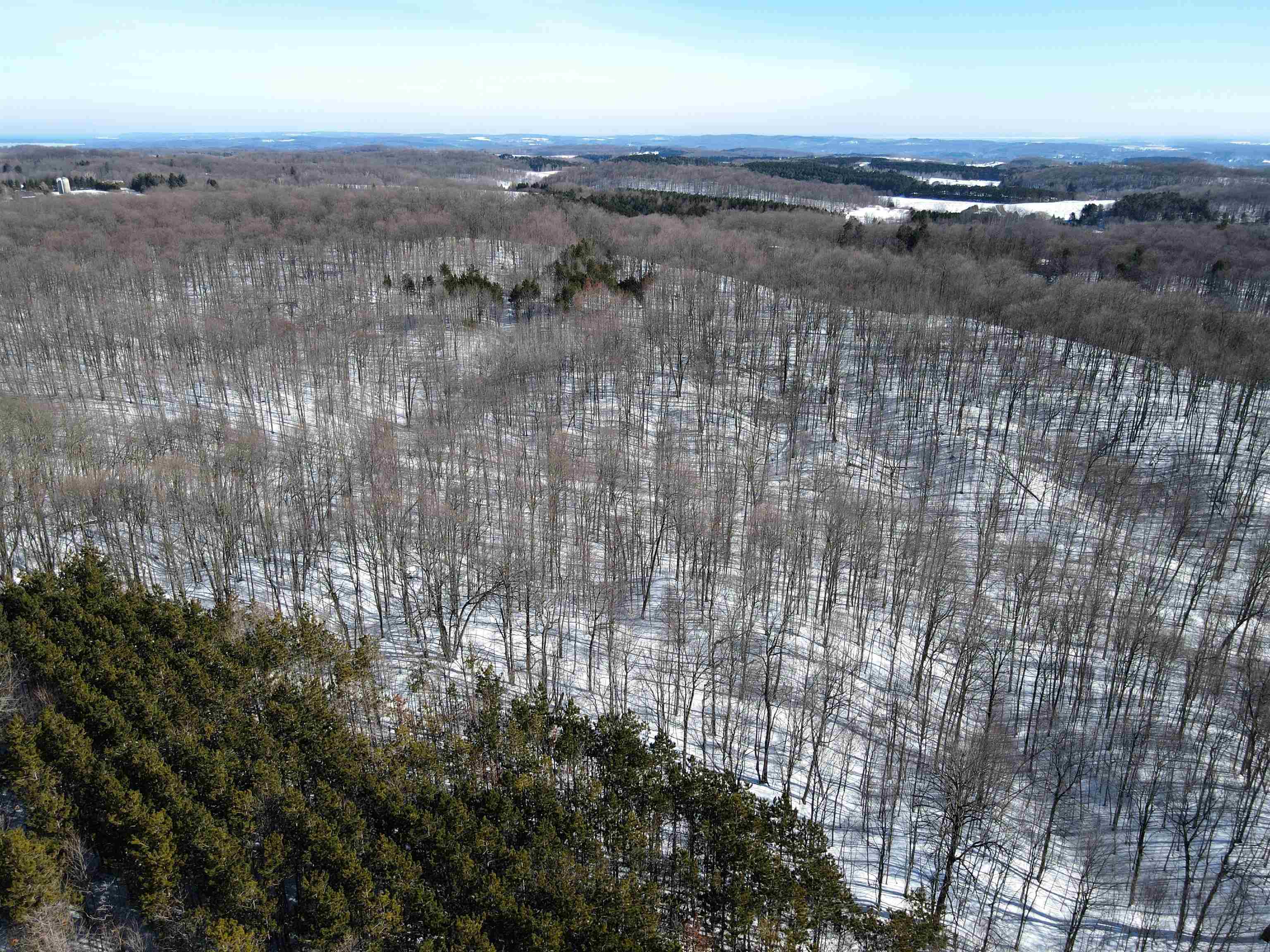 0 South Schomberg Road Cedar, MI 49621 - Photo 57 of 70