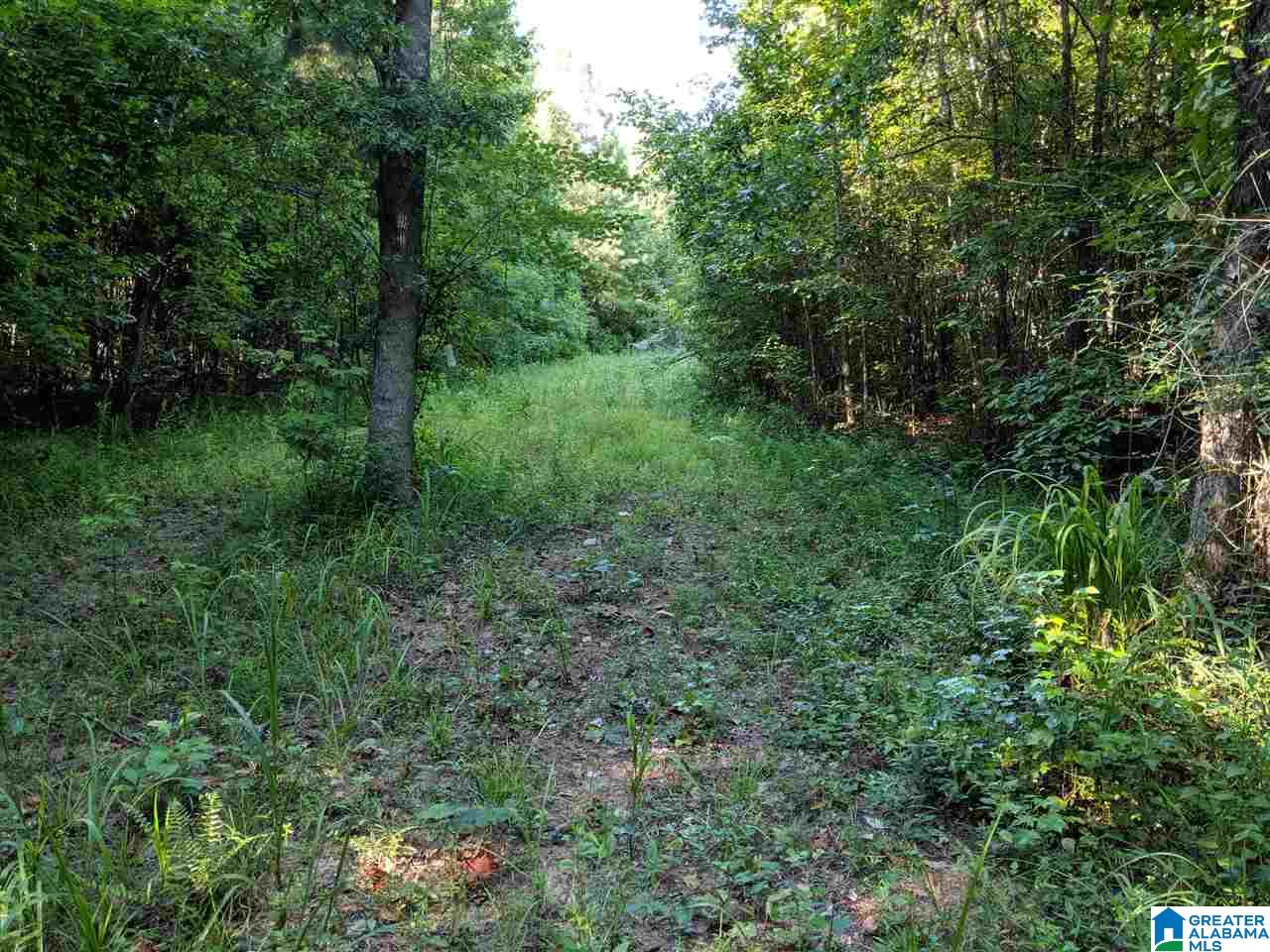 0 County Road 26 Wadley, AL 36276 - Photo 9 of 17