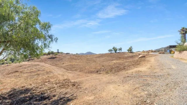a view of ocean view with large trees