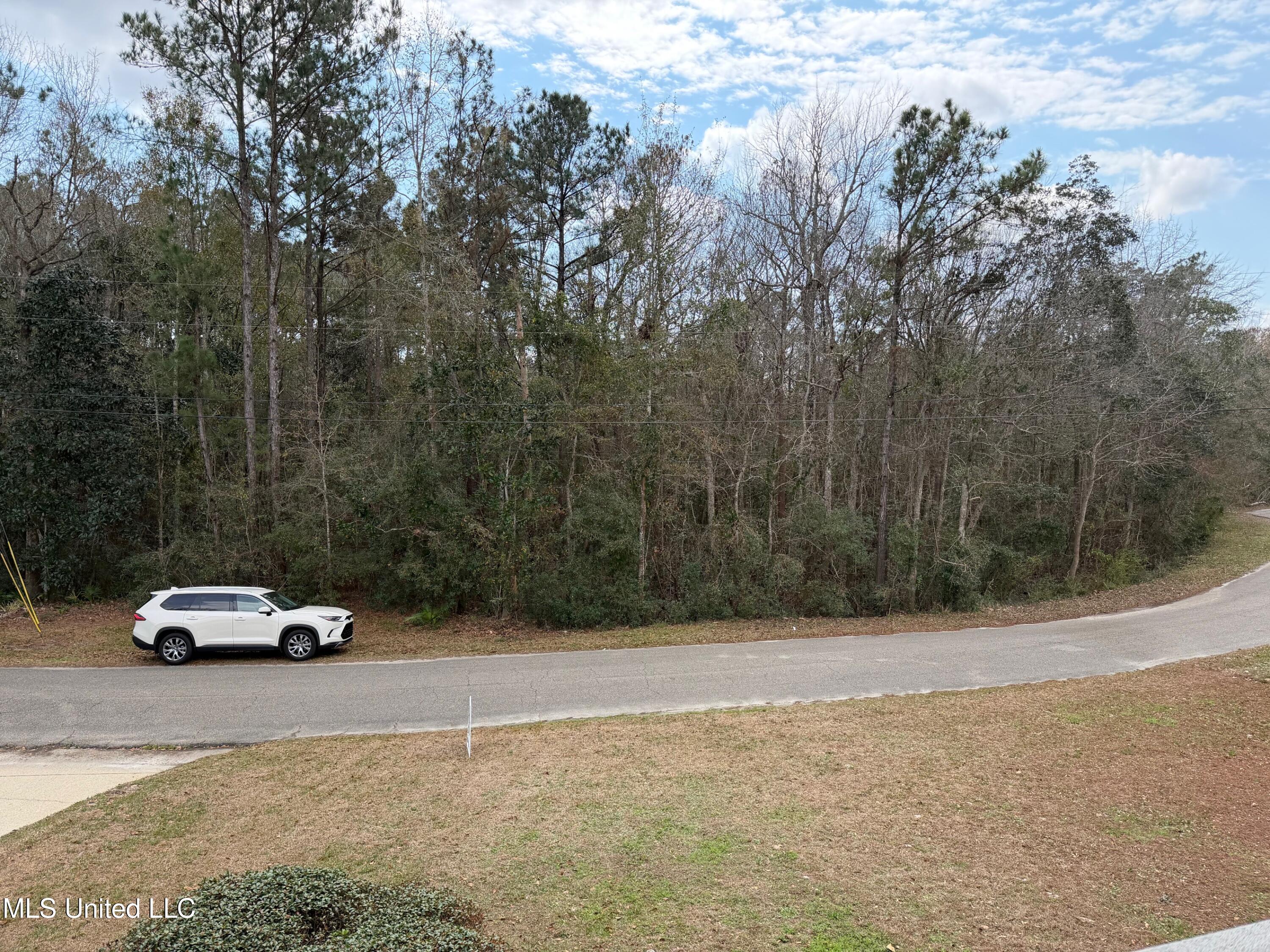 3518 River Bluff Road D'Iberville, MS 39540 - Photo 30 of 38 3518 RBluff across the street view