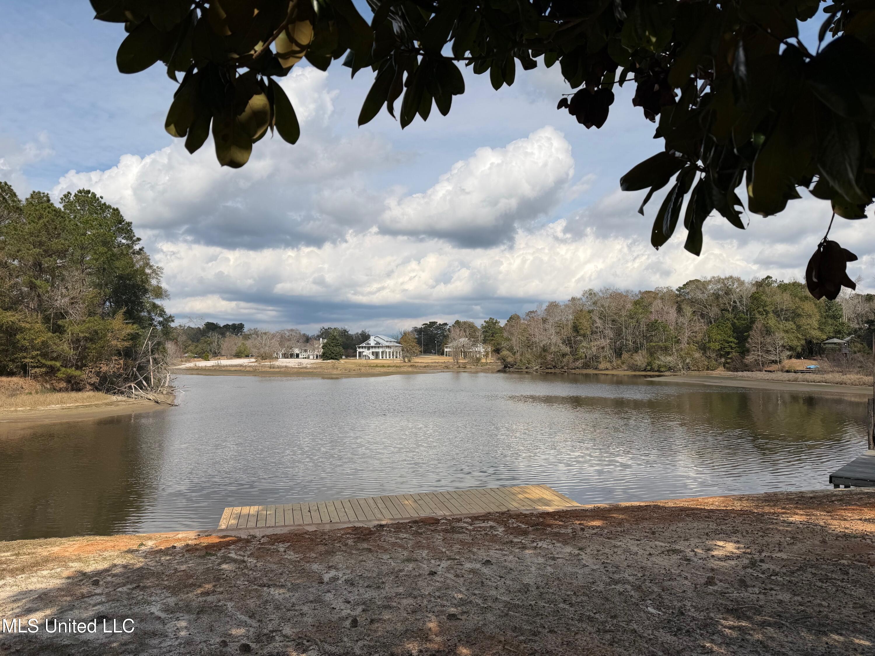 3518 River Bluff Road D'Iberville, MS 39540 - Photo 38 of 38 3518 RBluff view under magnolia