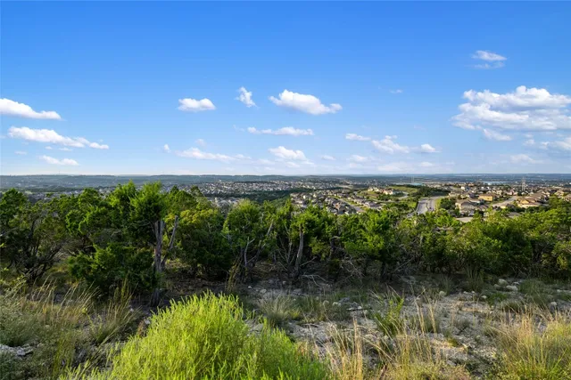 a view of a green space with lots of palm trees