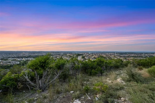 a view of a city with lush green forest