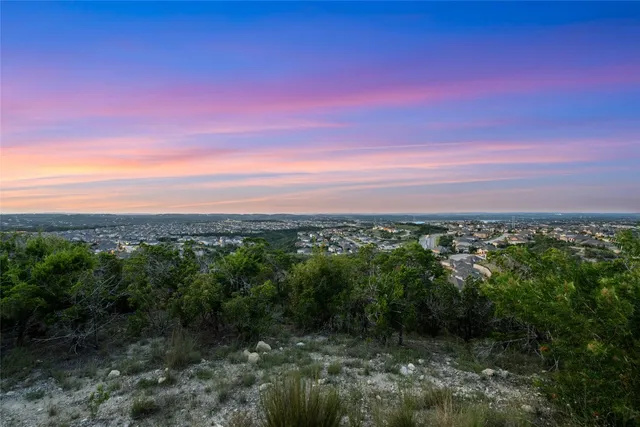 a view of a city with lush green forest
