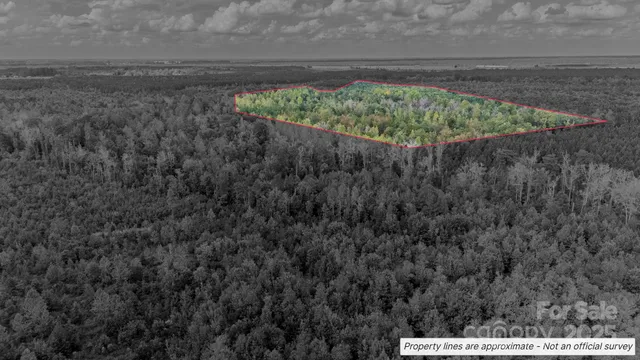 a view of wooden floor