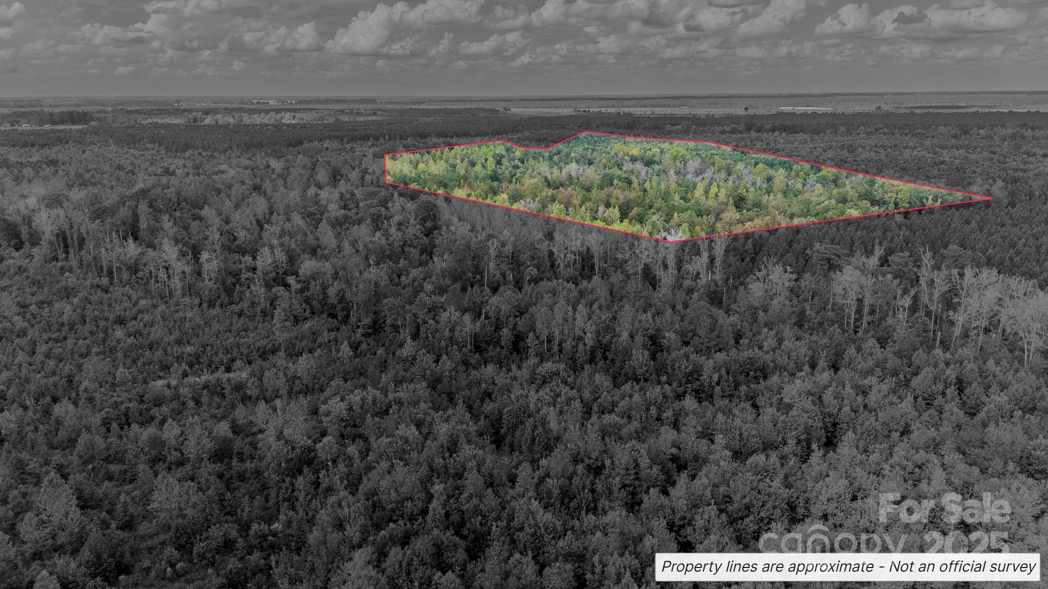 380 Harfam Road Vanceboro, NC 28586 - Photo 11 of 36