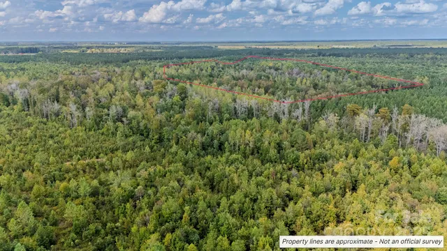 a view of an ocean and beach
