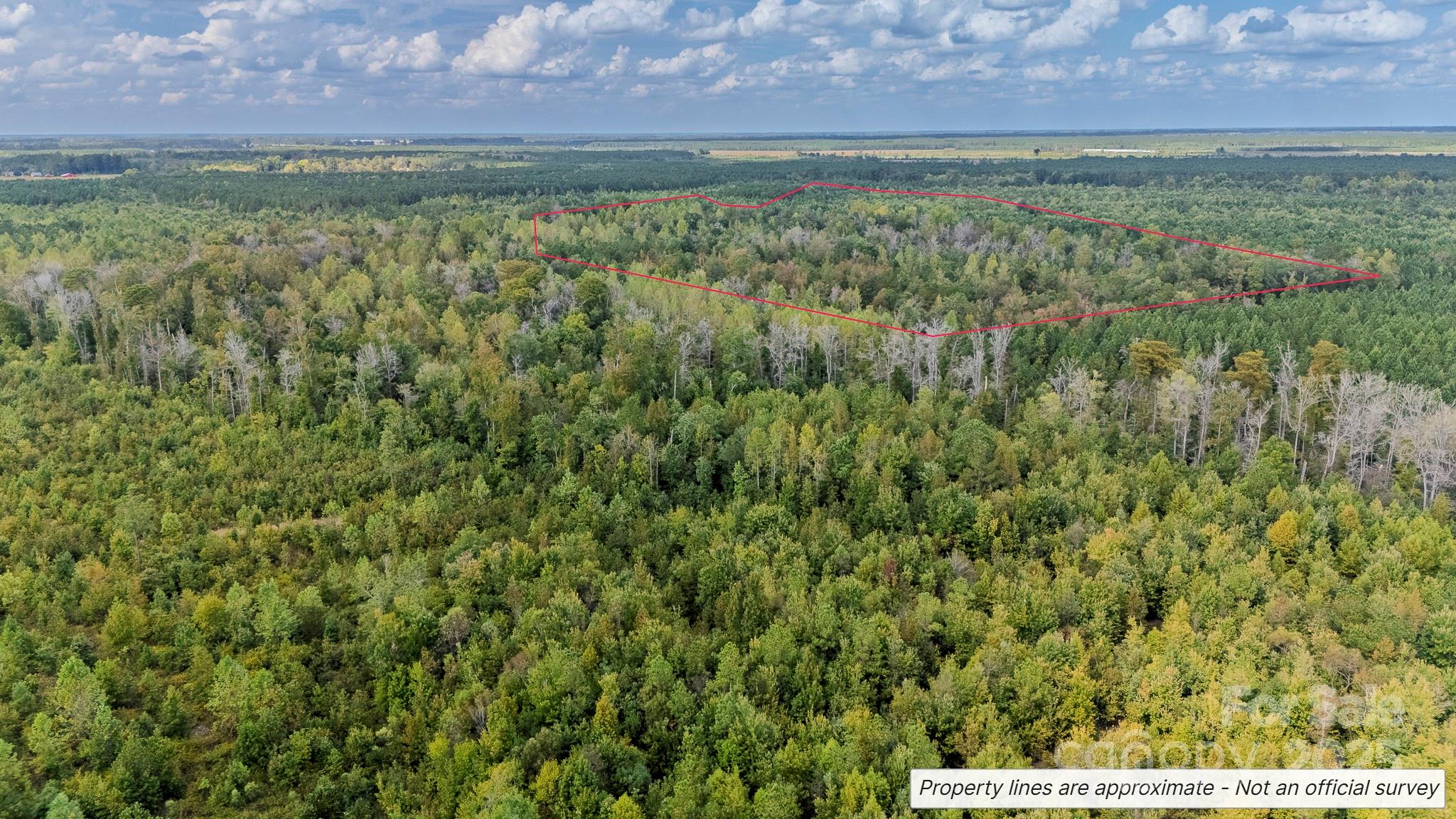 380 Harfam Road Vanceboro, NC 28586 - Photo 12 of 36 a view of a field with an outdoor space