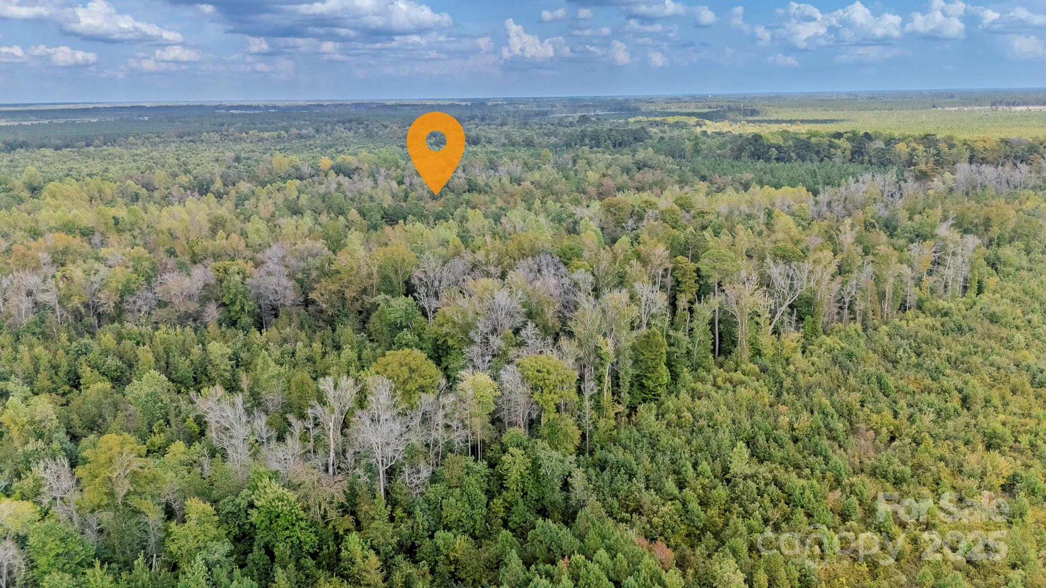 380 Harfam Road Vanceboro, NC 28586 - Photo 13 of 36