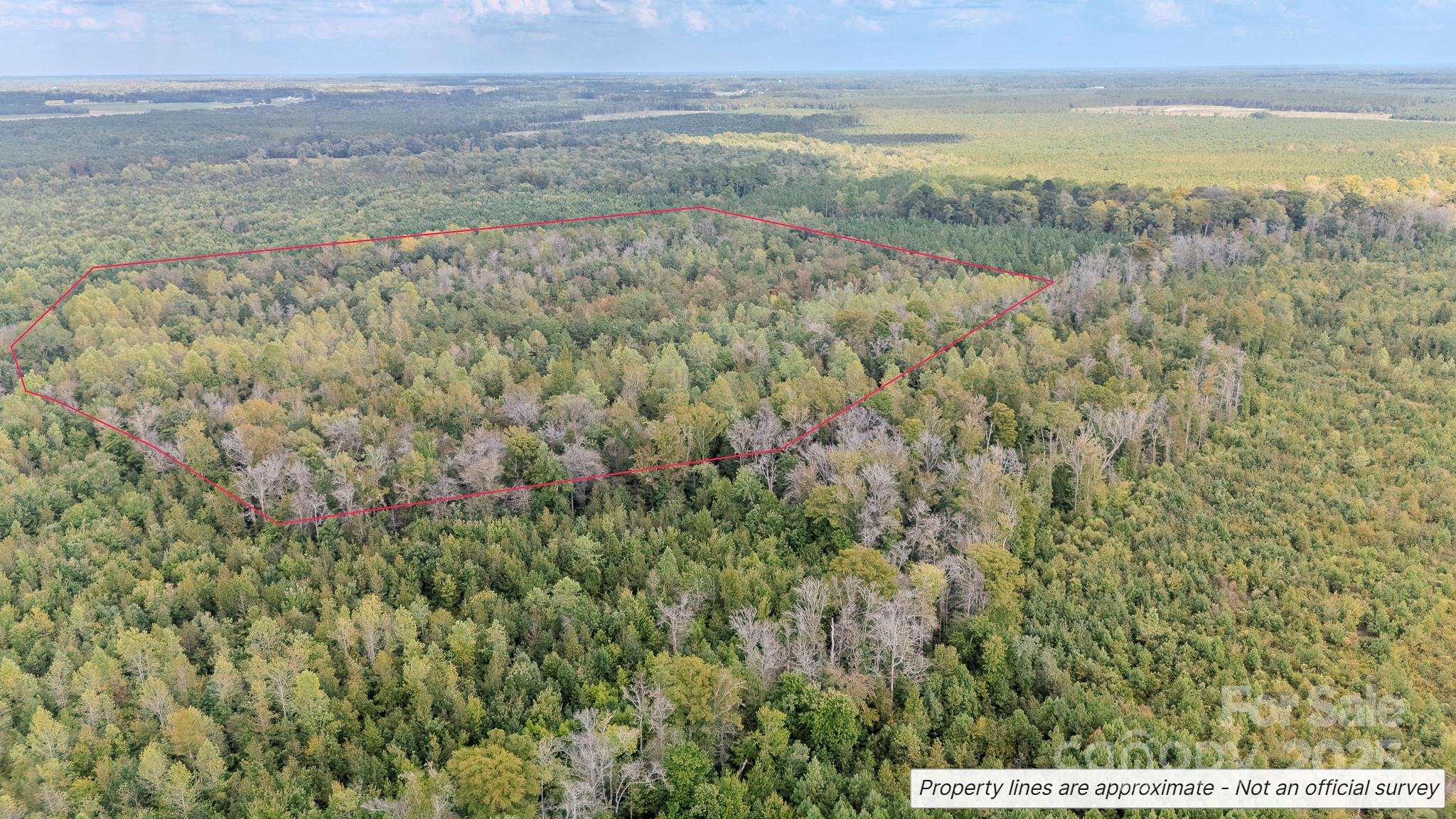 380 Harfam Road Vanceboro, NC 28586 - Photo 14 of 36 a view of an outdoor space with a lake view