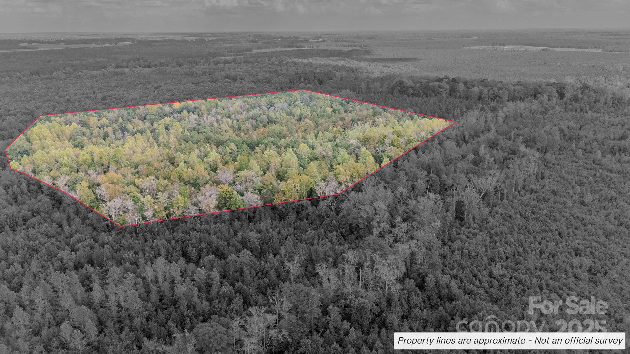 380 Harfam Road Vanceboro, NC 28586 - Photo 15 of 36 a view of wooden floor