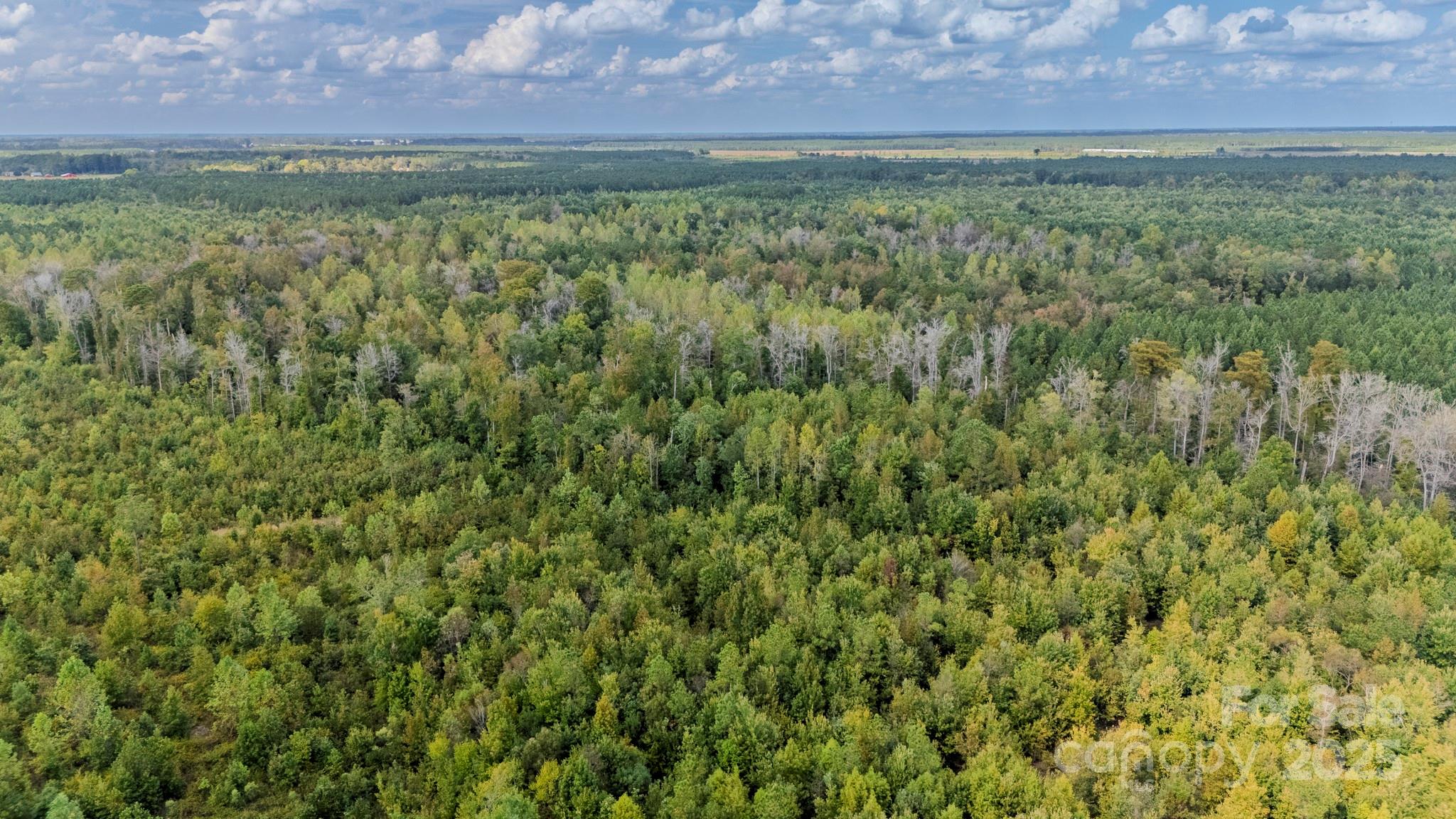 380 Harfam Road Vanceboro, NC 28586 - Photo 17 of 36 a view of a yard with an outdoor space