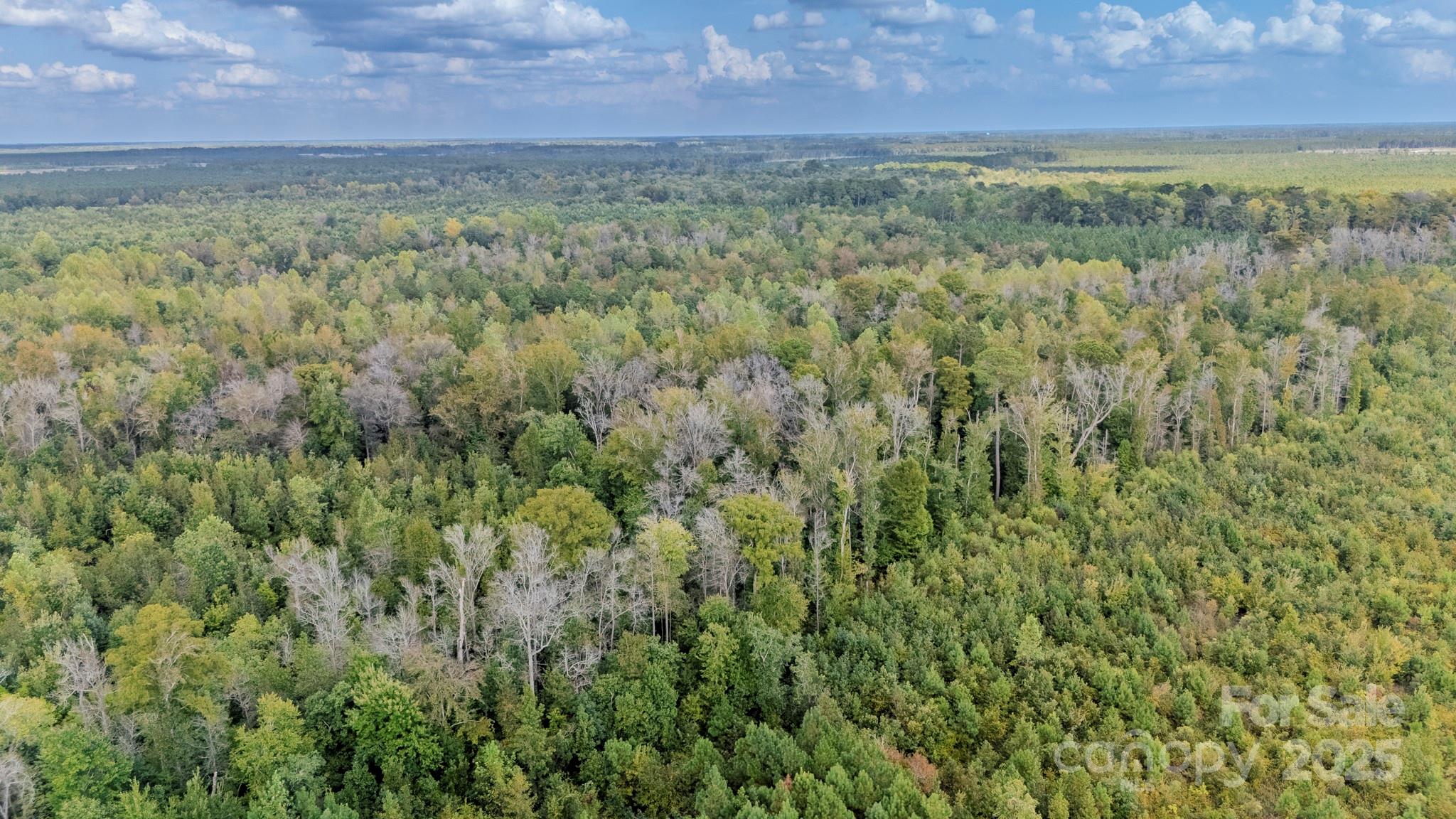380 Harfam Road Vanceboro, NC 28586 - Photo 18 of 36