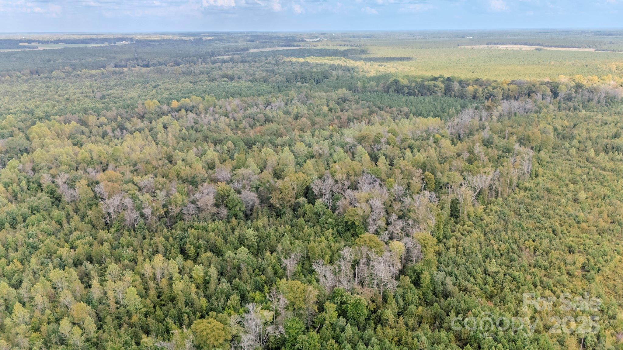 380 Harfam Road Vanceboro, NC 28586 - Photo 19 of 36 a view of a field with an ocean and mountain view