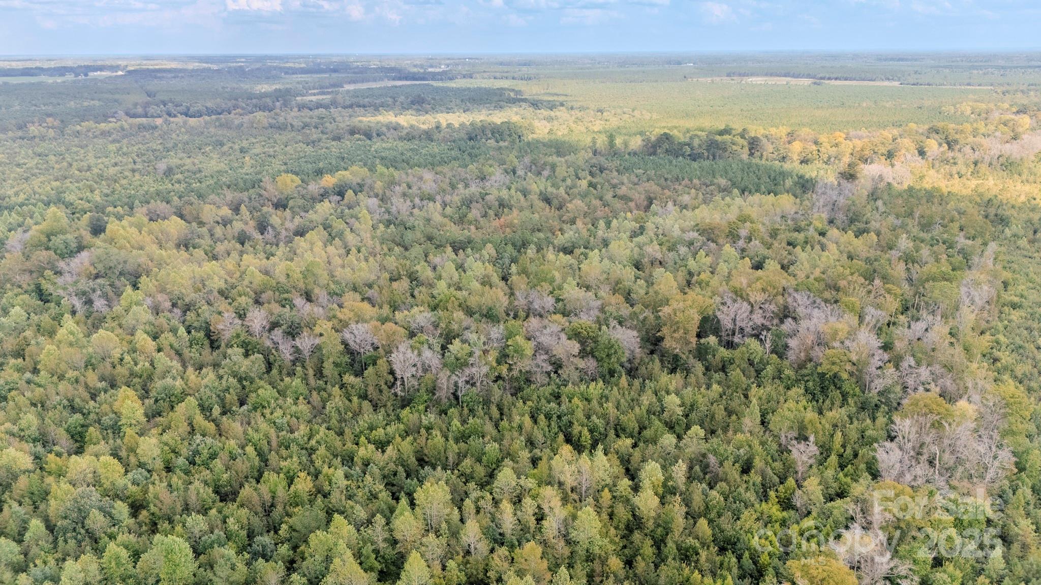 380 Harfam Road Vanceboro, NC 28586 - Photo 20 of 36 a view of an outdoor space and a lake view