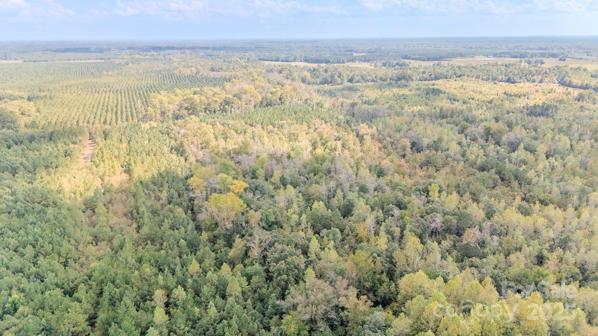 380 Harfam Road Vanceboro, NC 28586 - Photo 21 of 36 a view of beach and ocean