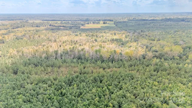 a view of a room with wooden floor and brick walls