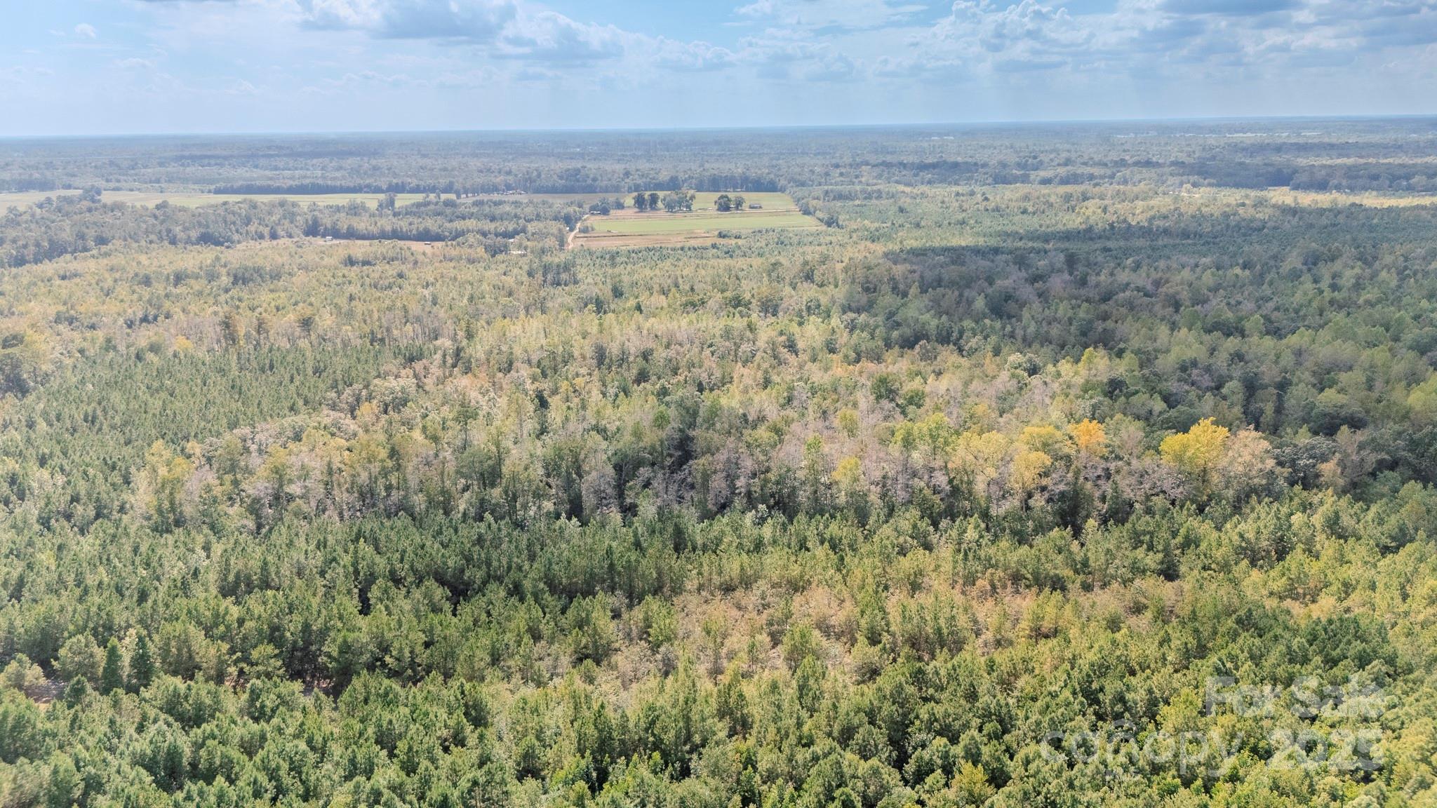 380 Harfam Road Vanceboro, NC 28586 - Photo 24 of 36