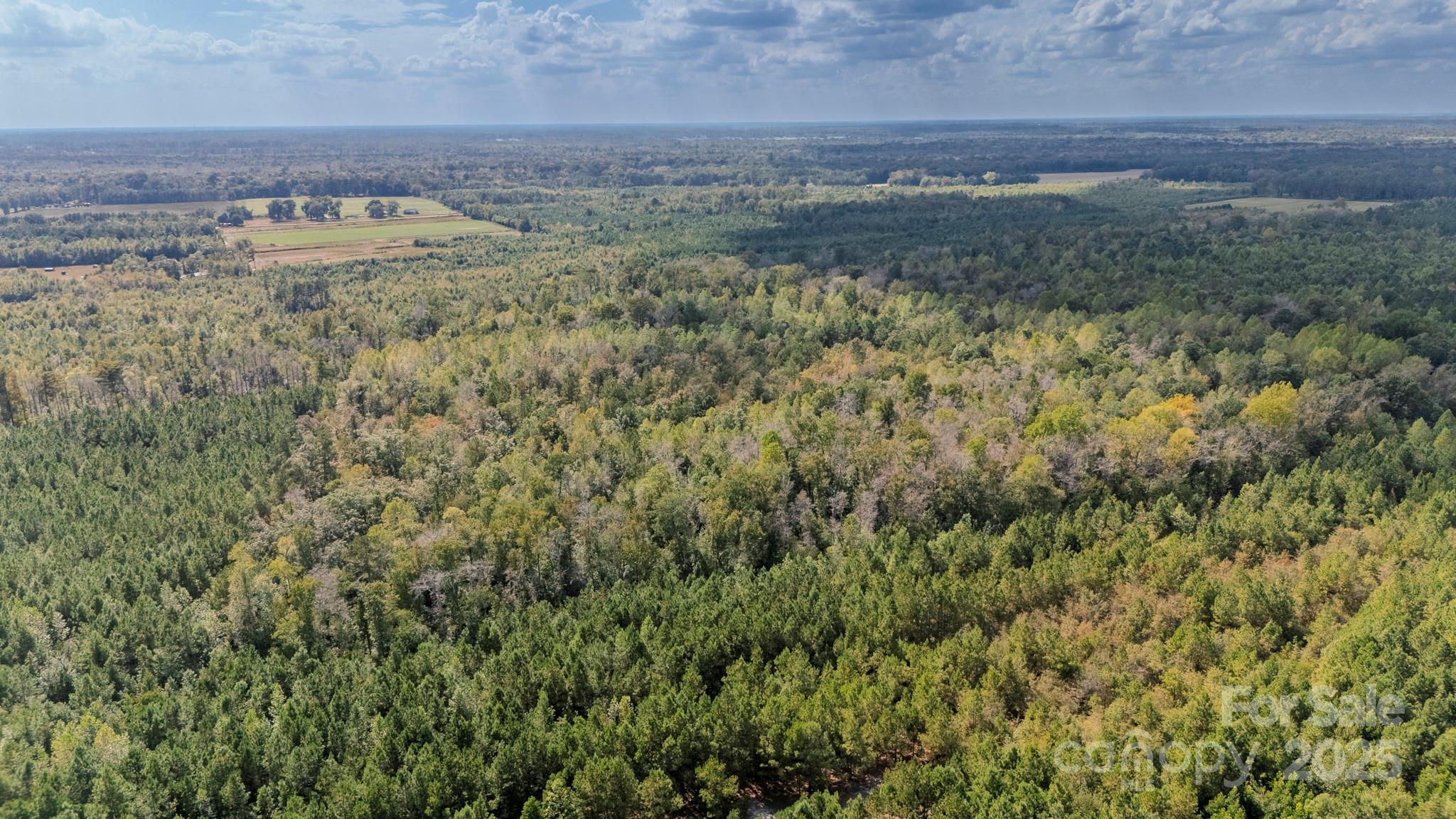 380 Harfam Road Vanceboro, NC 28586 - Photo 25 of 36 a view of a bunch of trees and bushes