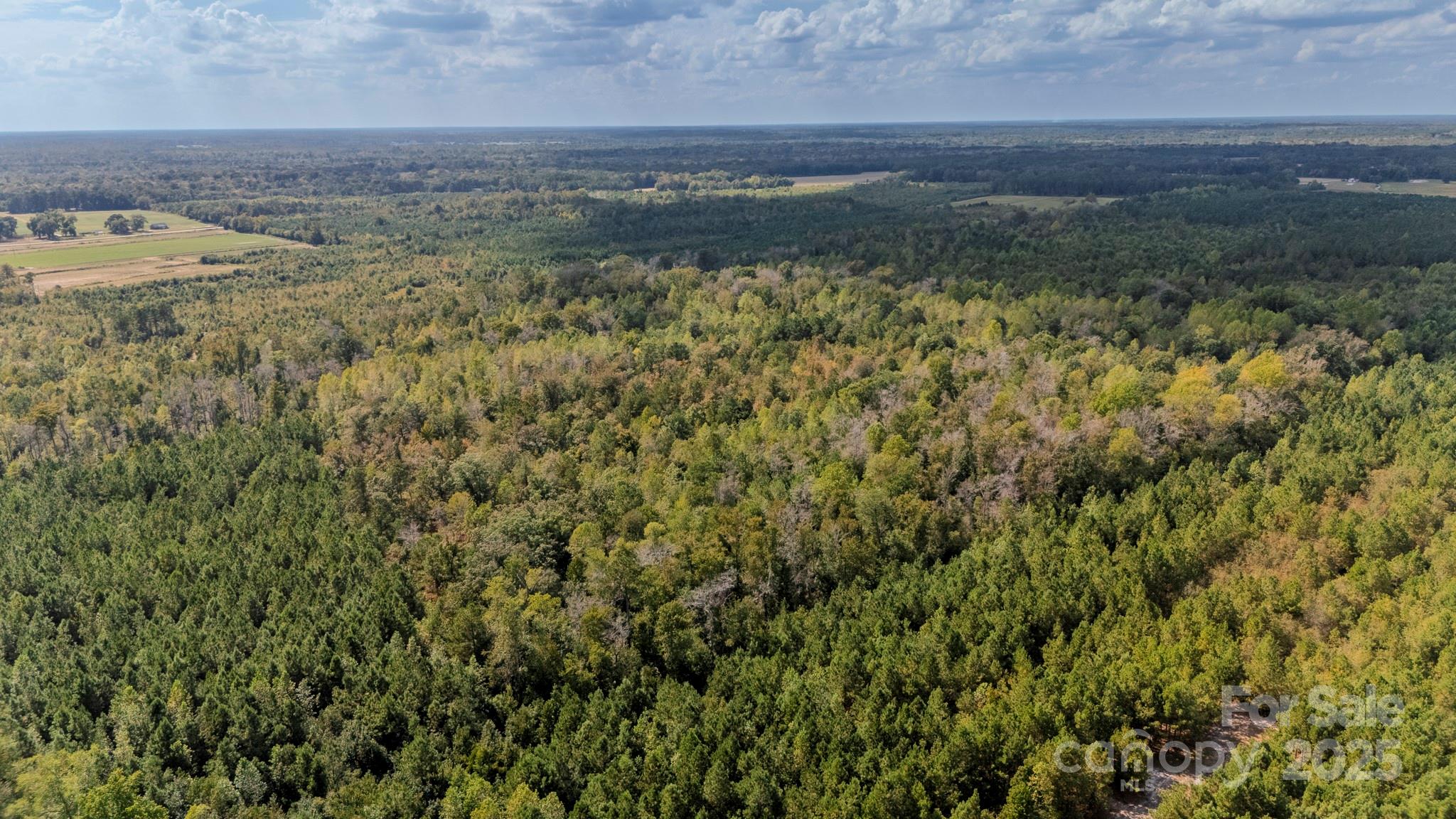 380 Harfam Road Vanceboro, NC 28586 - Photo 26 of 36 a view of a field with an ocean view