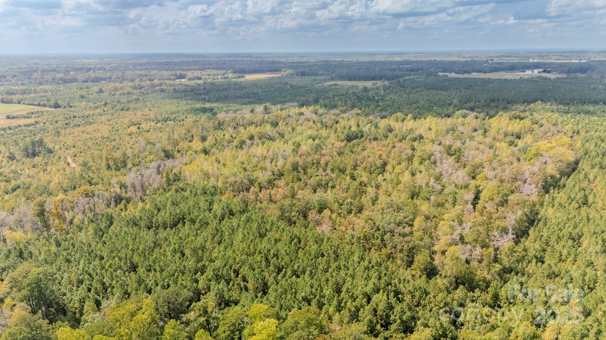 380 Harfam Road Vanceboro, NC 28586 - Photo 27 of 36