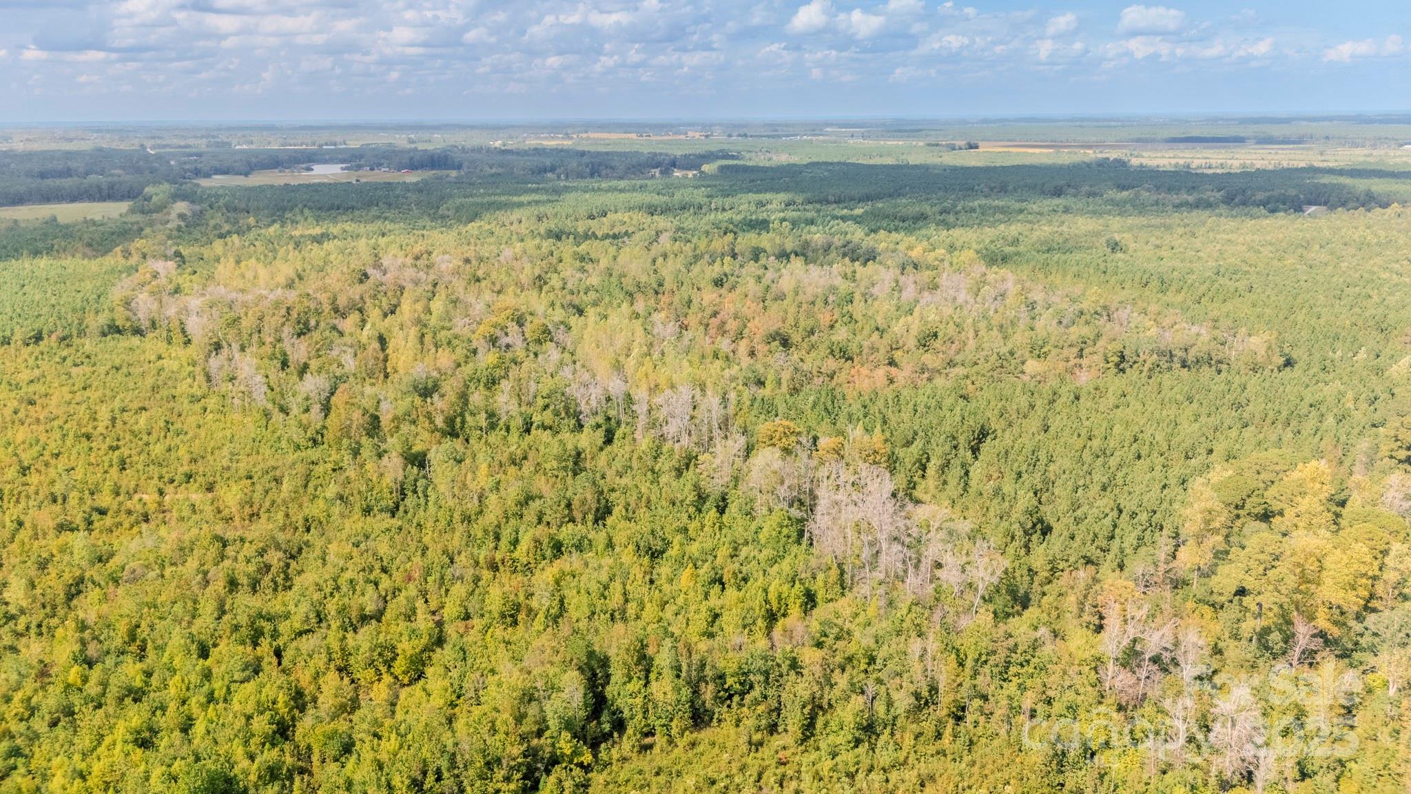 380 Harfam Road Vanceboro, NC 28586 - Photo 29 of 36