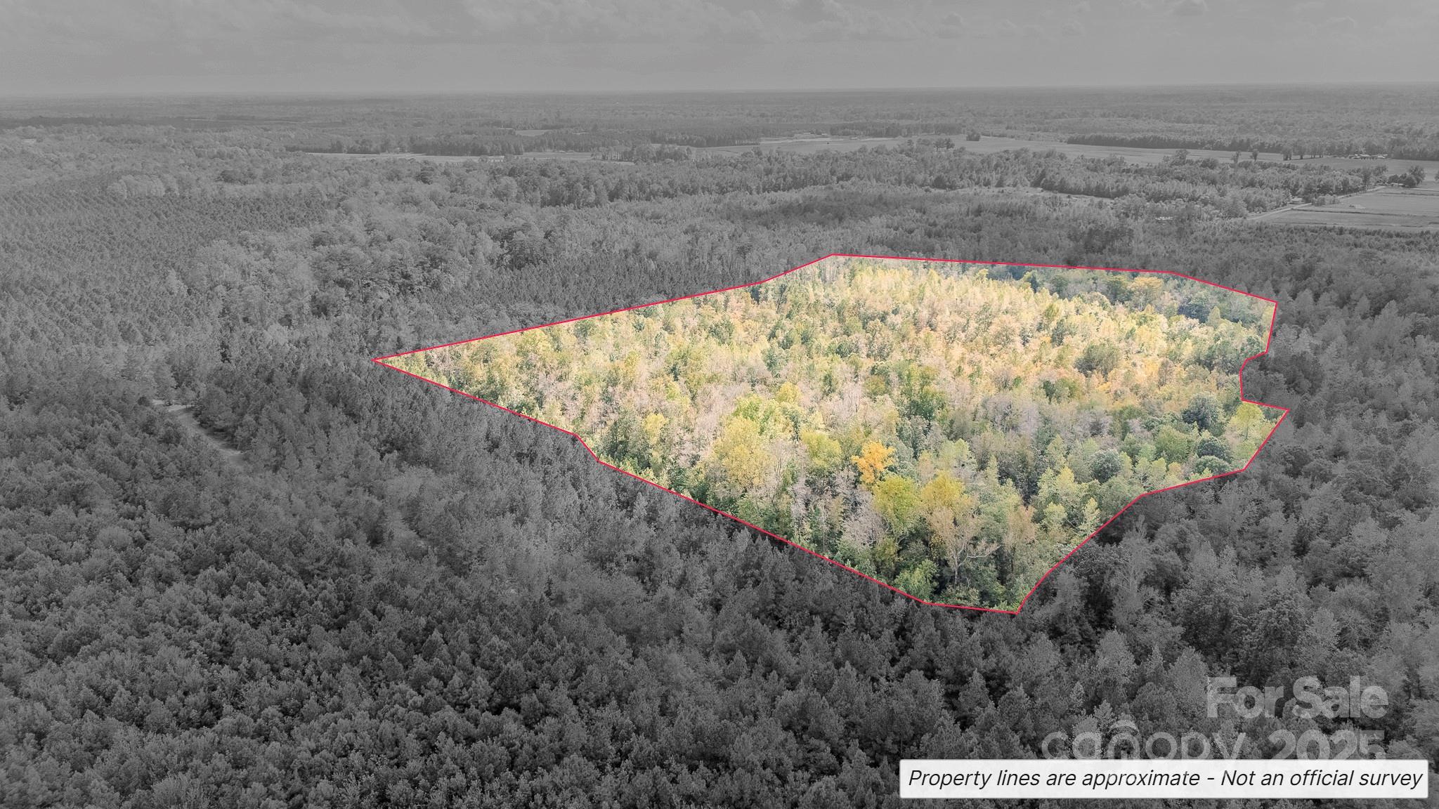 380 Harfam Road Vanceboro, NC 28586 - Photo 3 of 36