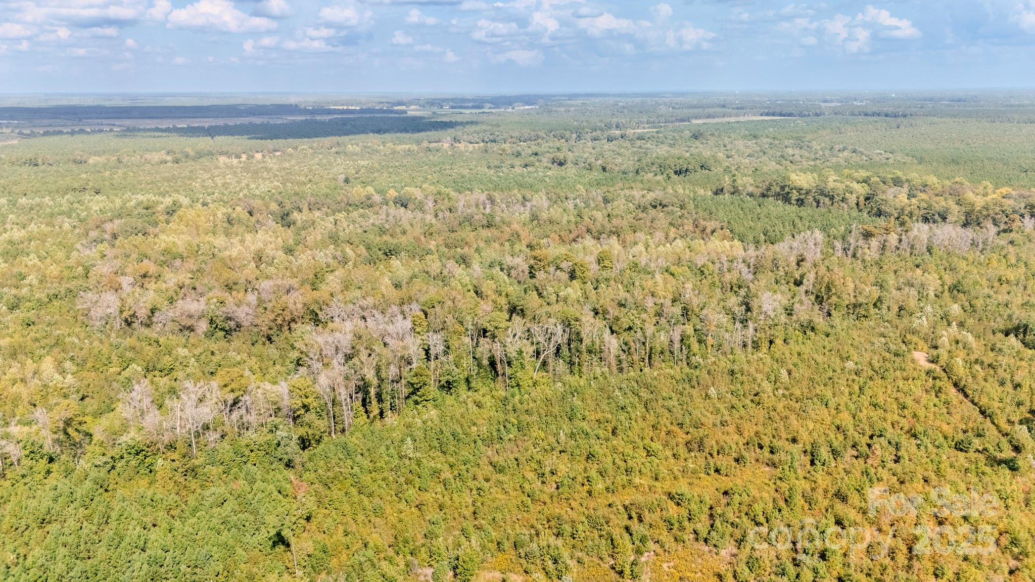 380 Harfam Road Vanceboro, NC 28586 - Photo 32 of 36 a view of a room with wooden floor and brick walls