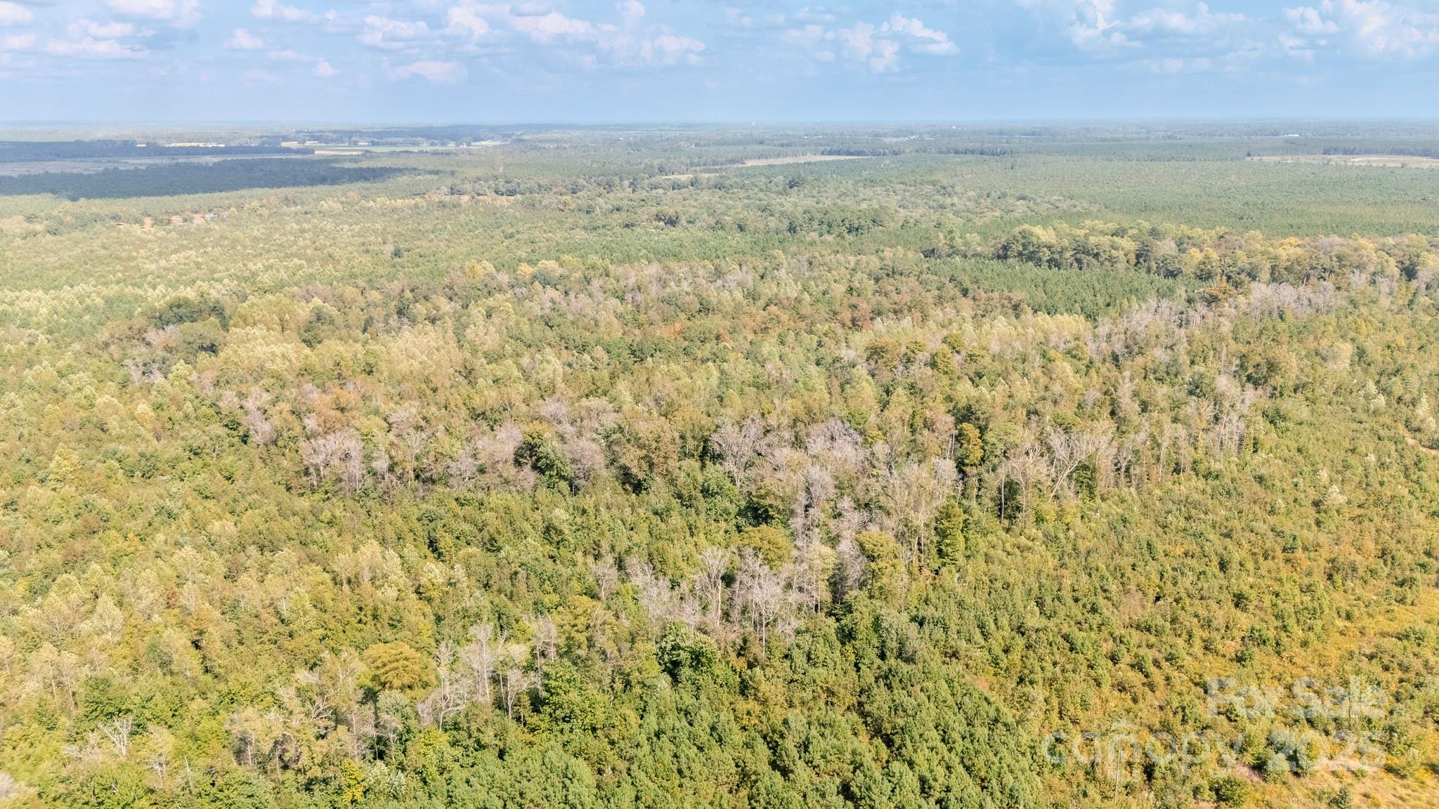 380 Harfam Road Vanceboro, NC 28586 - Photo 33 of 36 a view of an ocean