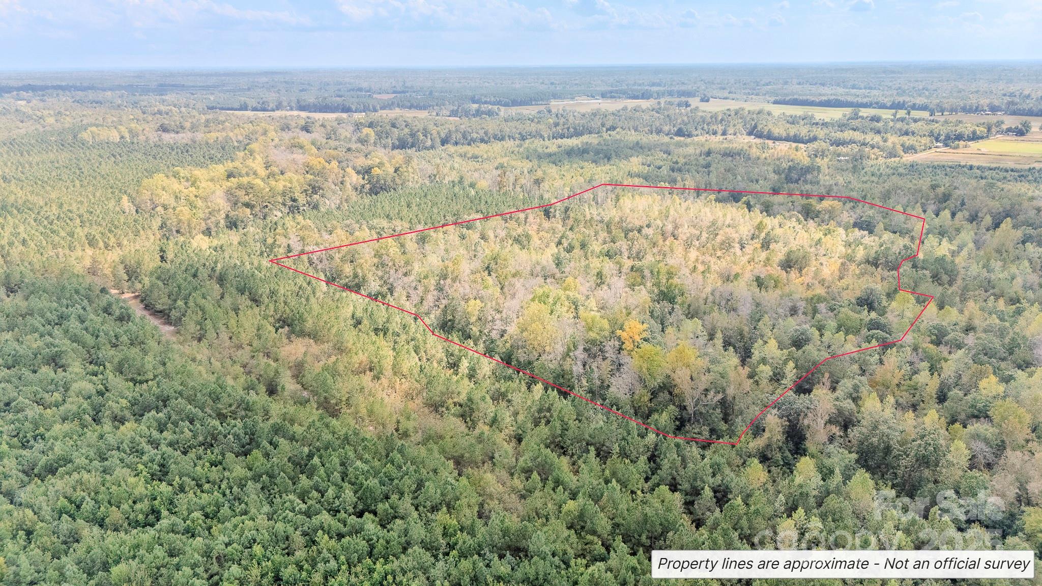 380 Harfam Road Vanceboro, NC 28586 - Photo 4 of 36 a view of an ocean and beach