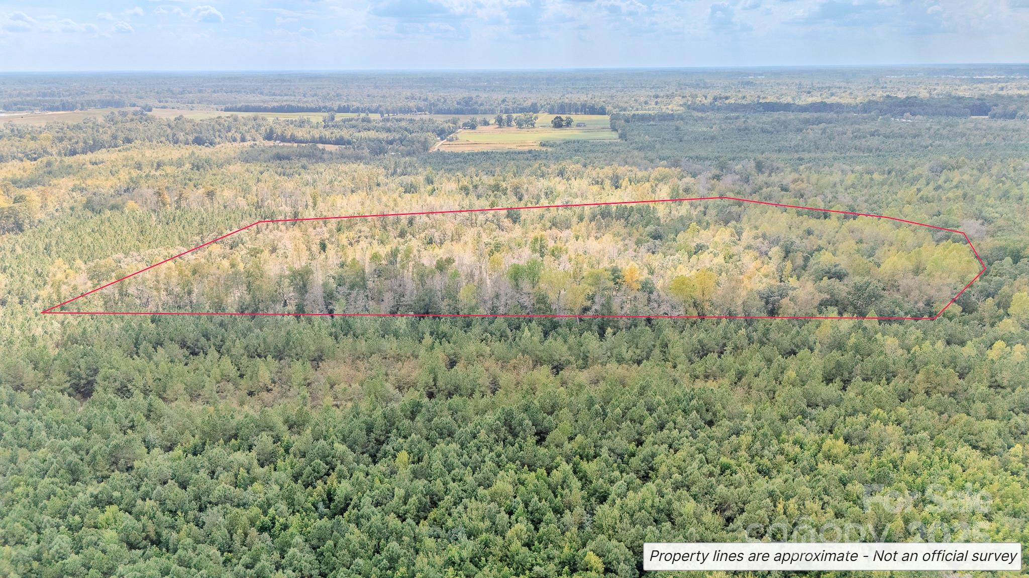 380 Harfam Road Vanceboro, NC 28586 - Photo 5 of 36 a view of an ocean and beach