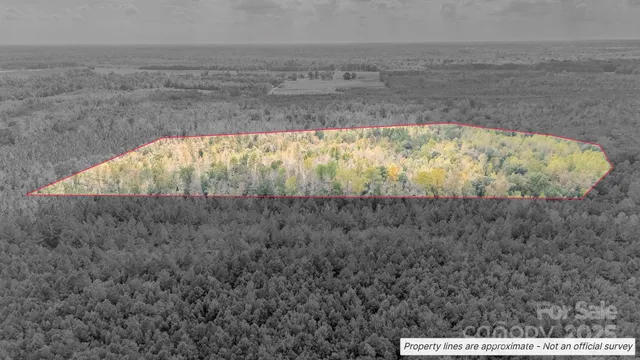 a view of swimming pool from a yard