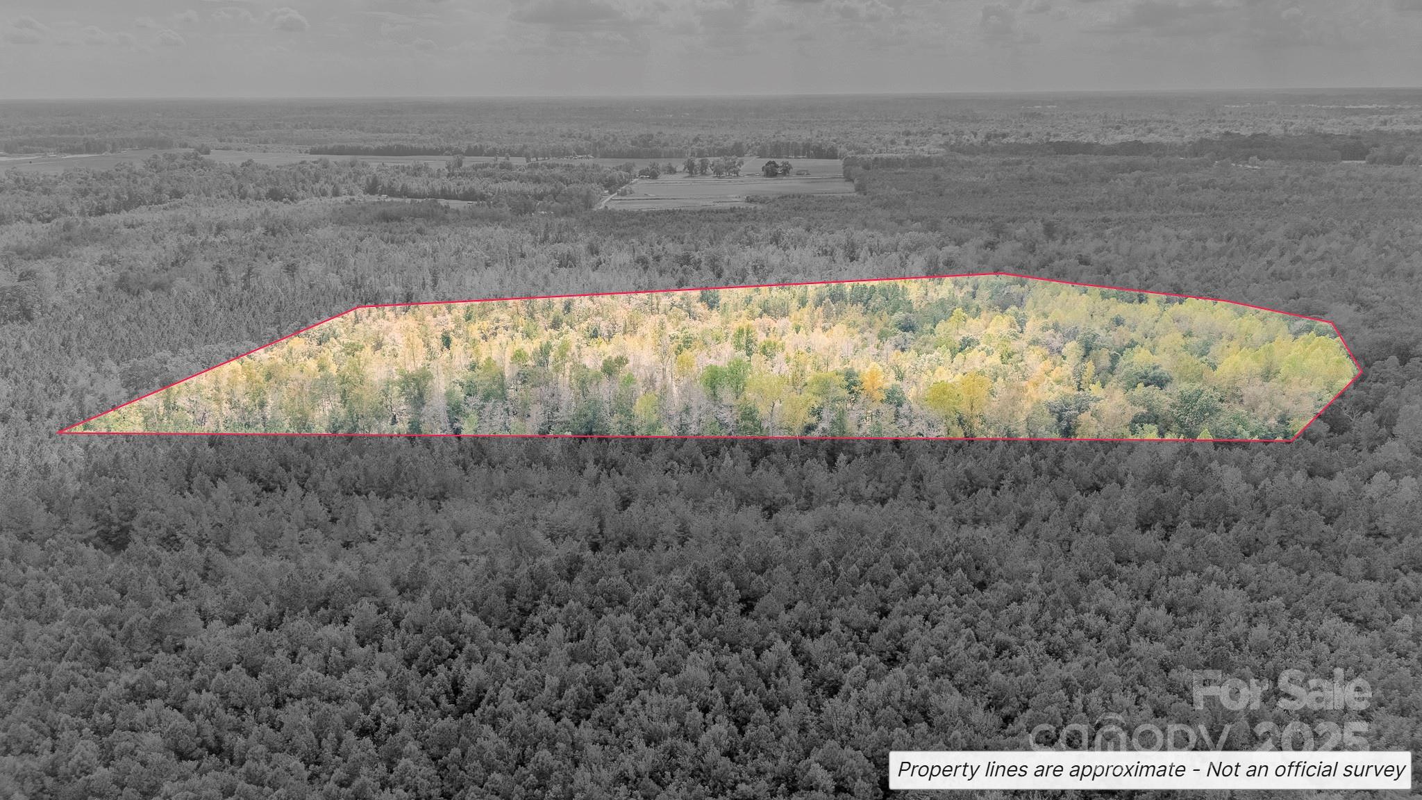 380 Harfam Road Vanceboro, NC 28586 - Photo 6 of 36 a view of wooden floor