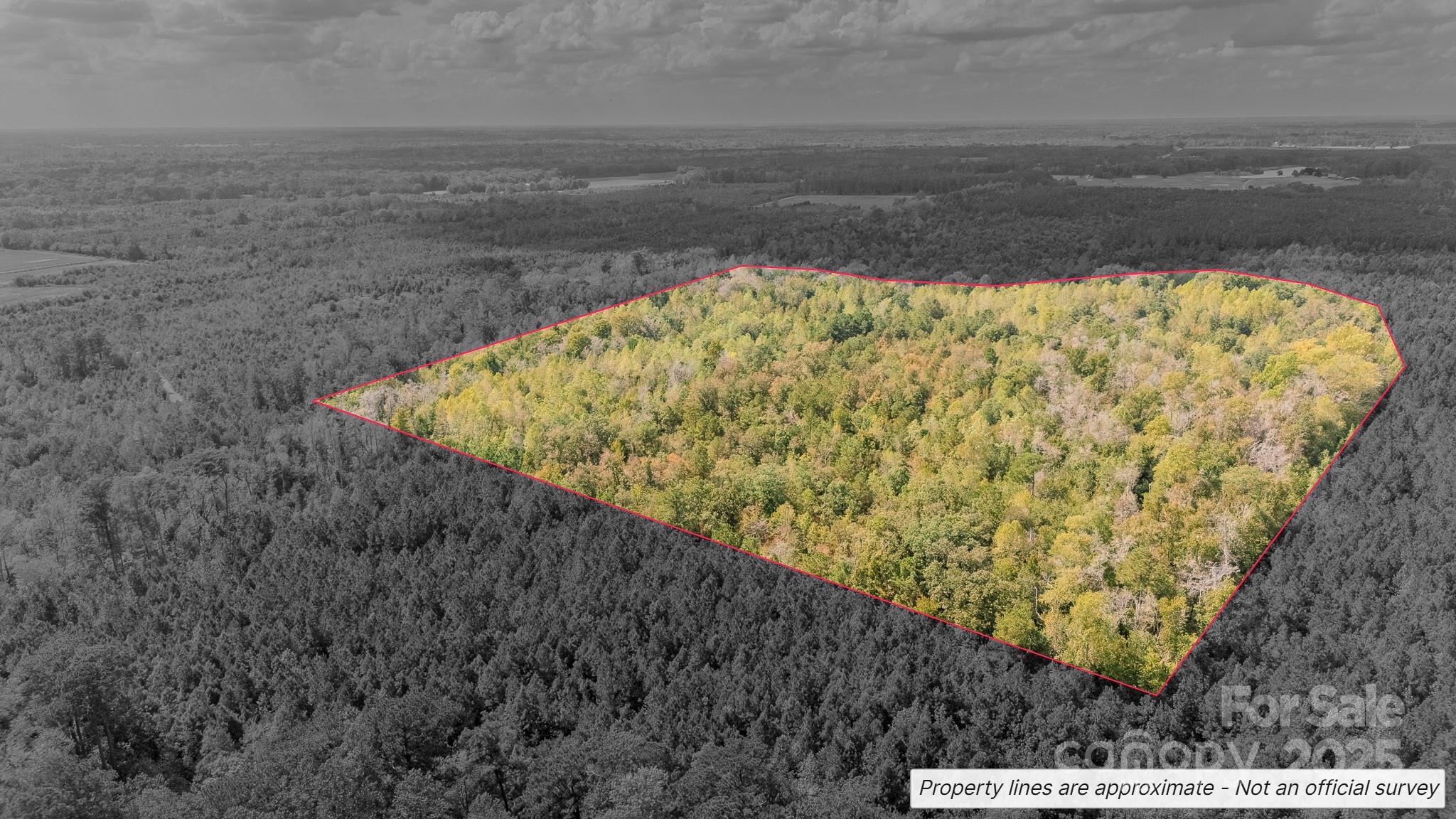 380 Harfam Road Vanceboro, NC 28586 - Photo 7 of 36 a view of swimming pool from a yard