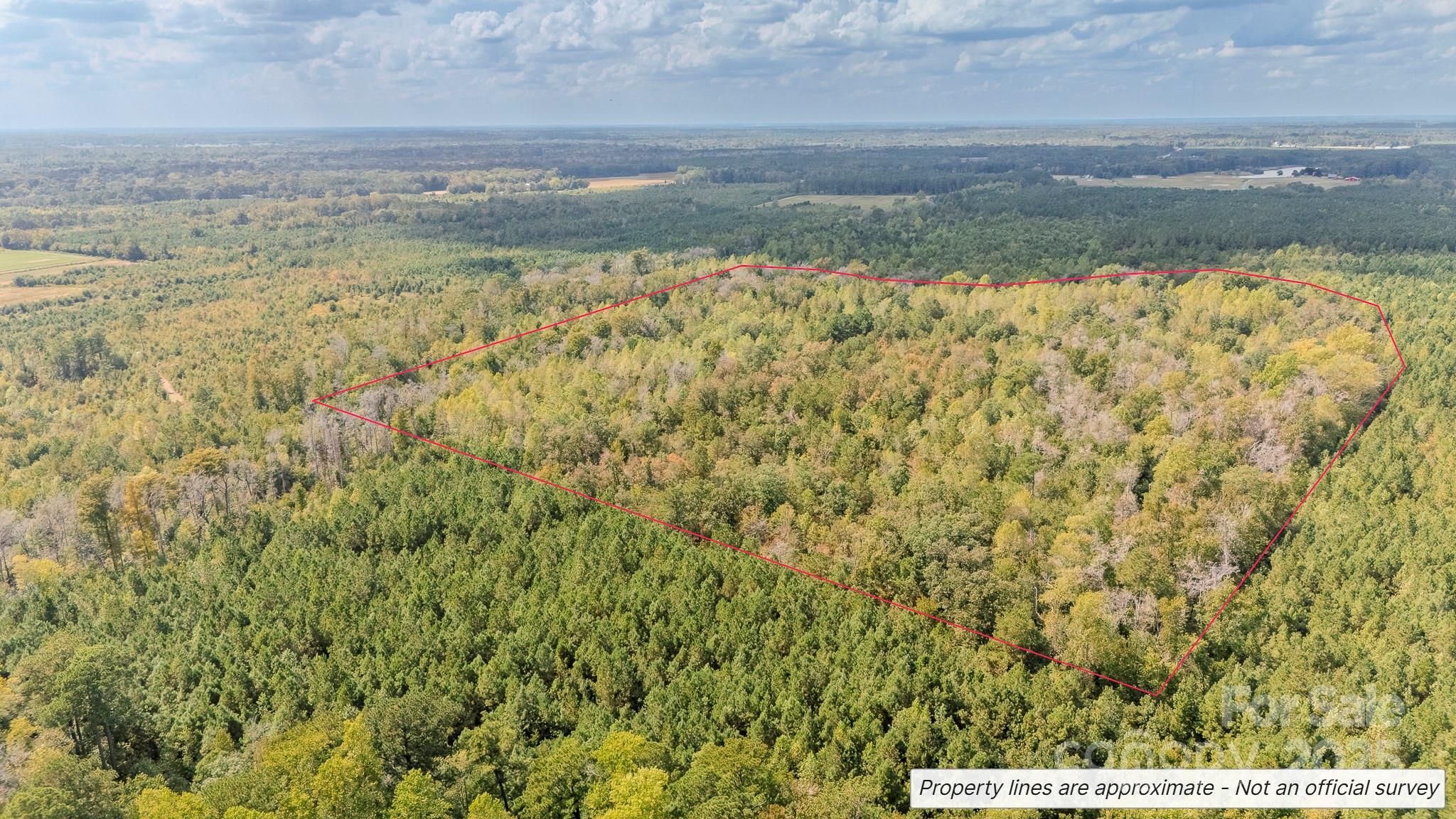 380 Harfam Road Vanceboro, NC 28586 - Photo 8 of 36 a view of a yard