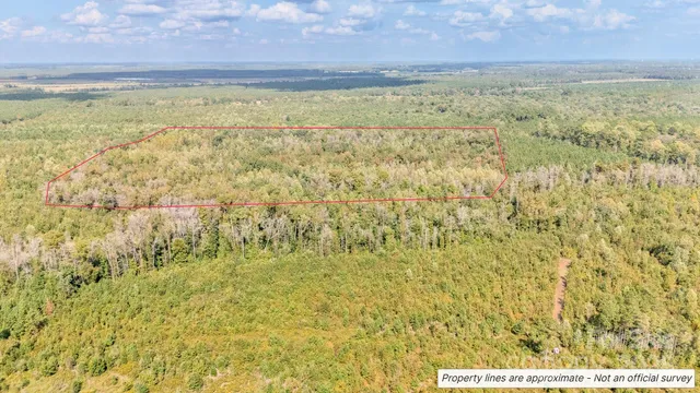 a view of a field with an outdoor space