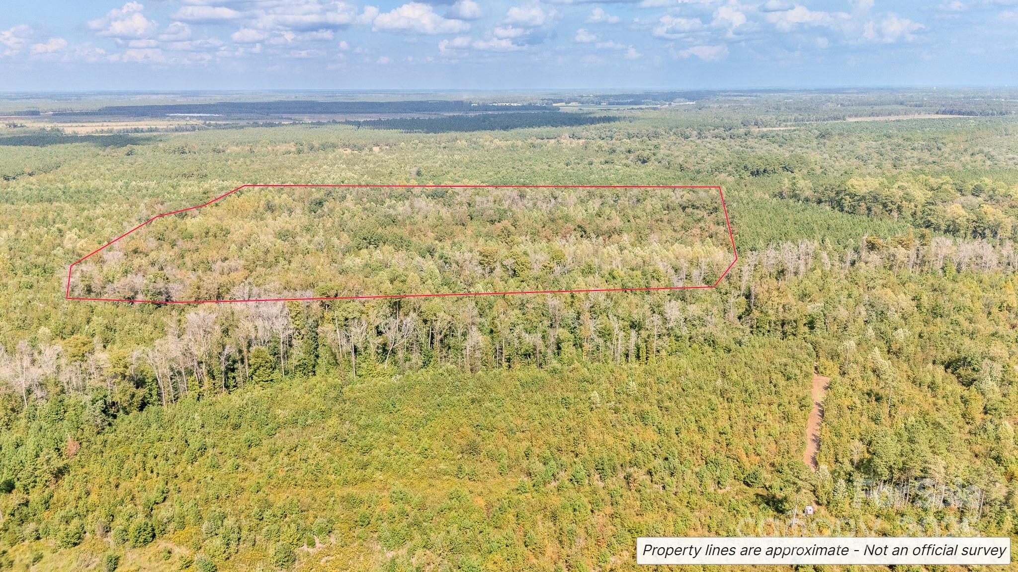 380 Harfam Road Vanceboro, NC 28586 - Photo 9 of 36 a view of beach with an ocean