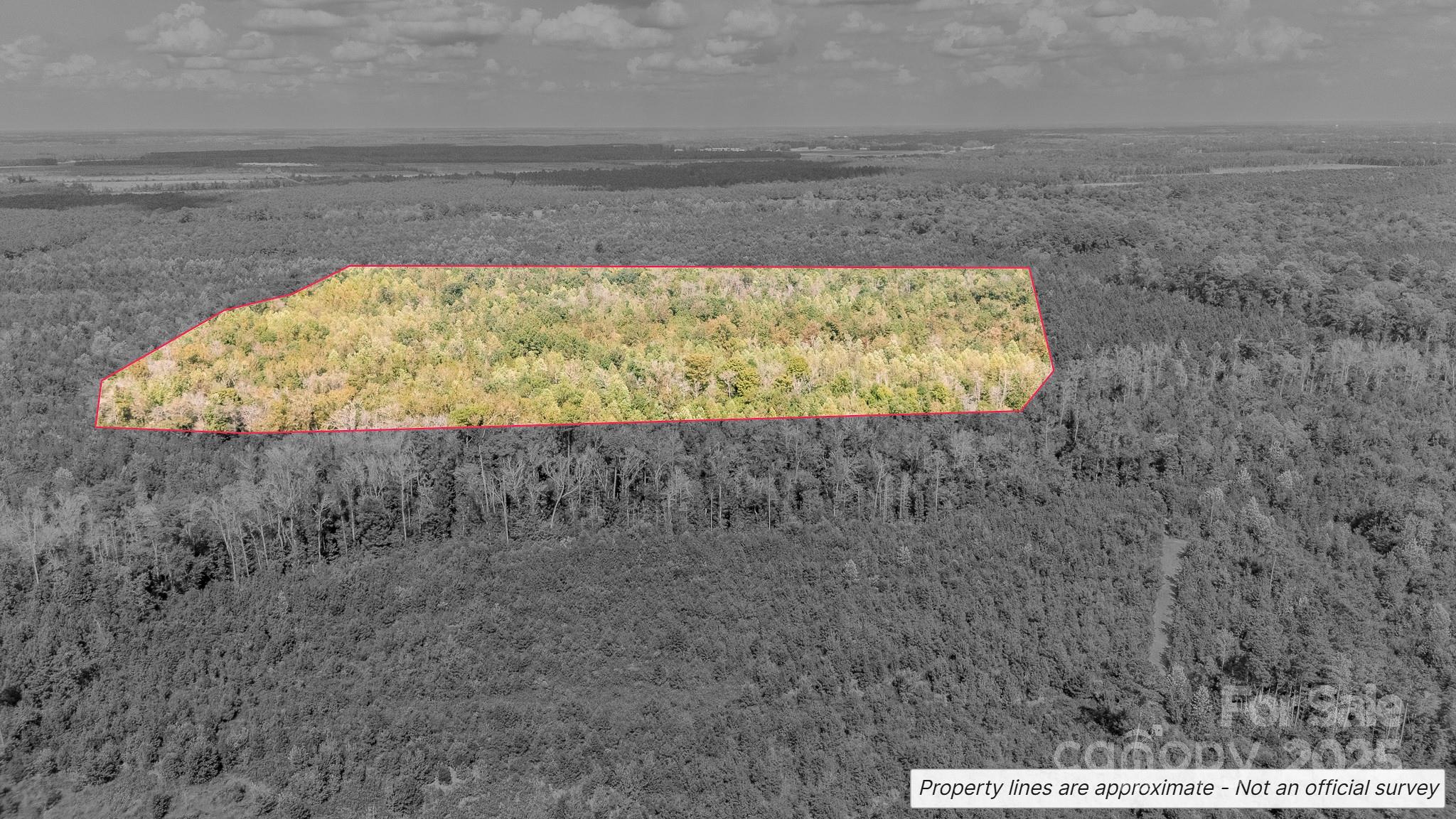 380 Harfam Road Vanceboro, NC 28586 - Photo 10 of 36