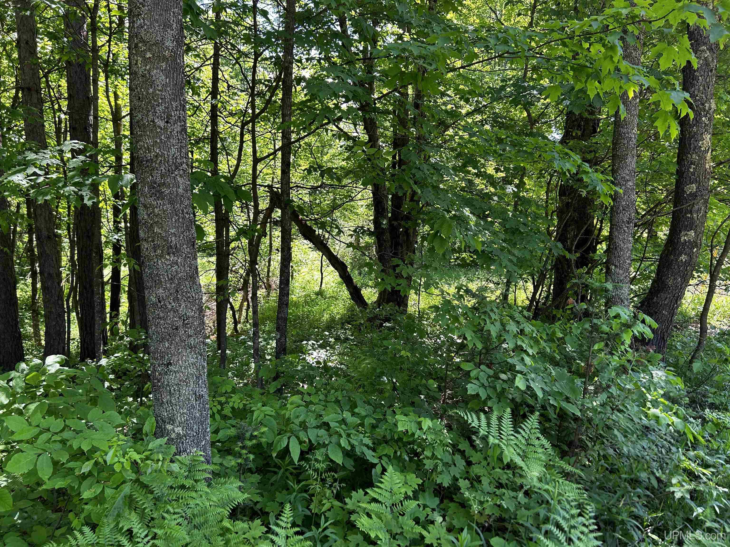 Tbd Tbd Burma Parcel B Road Bessemer, MI 49911 - Photo 2 of 10