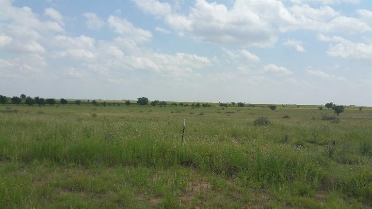 6749 Maine Road Anton, TX 79313 - Photo 1 of 1 Photo 1