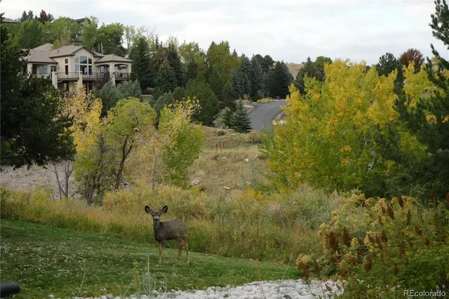 $1,650,000 | 16113 Canyon Wren Way, Morrison, CO 80465