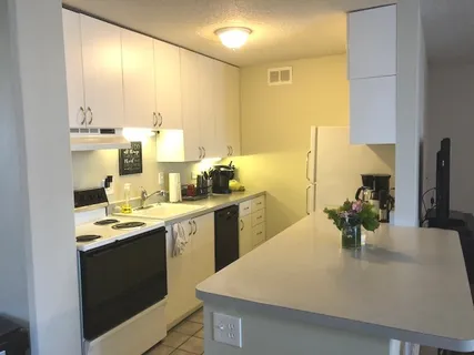 $305,000 | 1339 North Dearborn Street, Unit 11D, Chicago, IL 60610