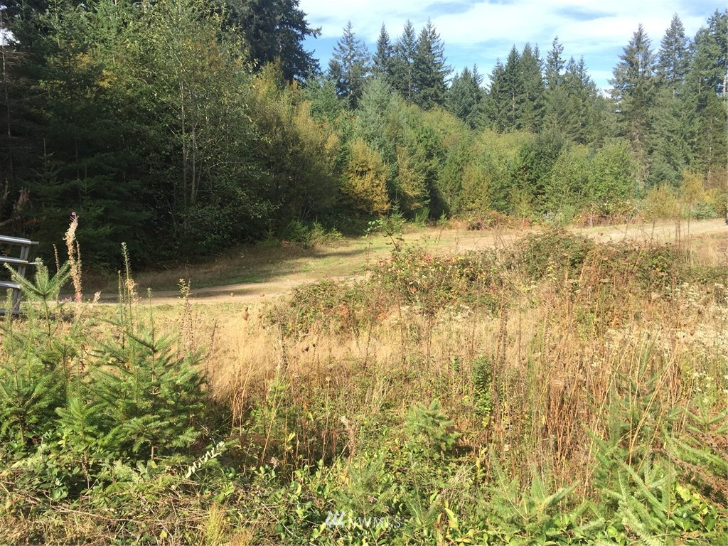 13832 Carney Lake Road Southwest Port Orchard, WA 98367 - Photo 1 of 5 Gallery Image 1